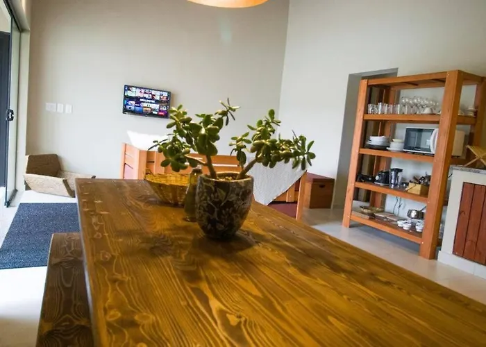 Novo-Refugio Do Arquiteto - Casa Coqueiro, 4 Minutos Caminhando Ate A Praia